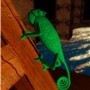 Chameleon