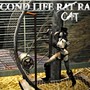 Rat... euh... Cat Race Second Life