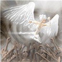 Lost Angel
