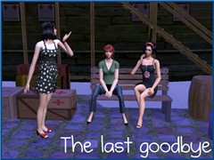 Last goodbye