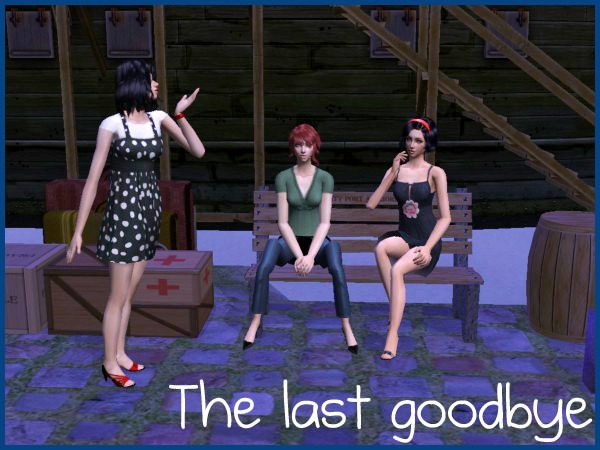 Last goodbye
