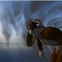 Bunny Pipeline (nudity)