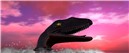 RROOOAAAARRRRR