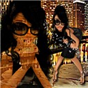 vixennight