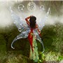 Fae Drawn
