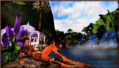 Exotical Lagune - Exotic Contest