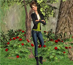rose