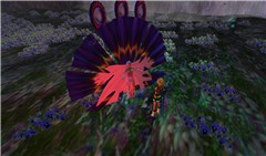 Snapshot_258
