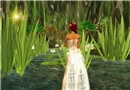 Admiring water lily