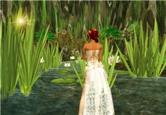 Admiring water lily