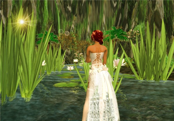 Admiring water lily