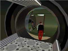 kelorbase1_008