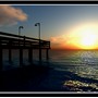 muelle
