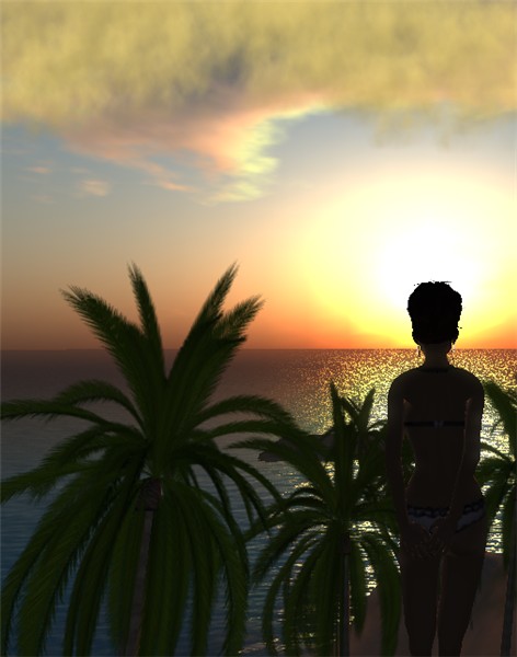 WIndow_004