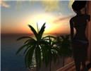 WIndow_002