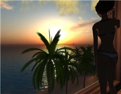 WIndow_002