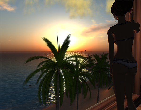 WIndow_002