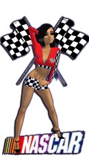 nascar meow