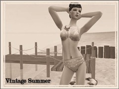 Vintage Summer