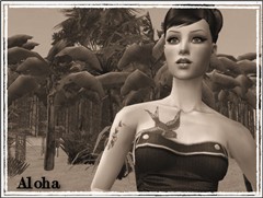 aloha