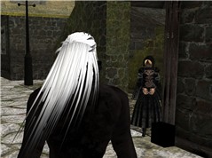 Vampire meeting