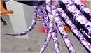 Snapshot_001