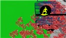 Locusolus simulator_046