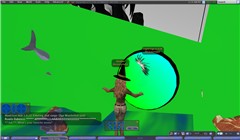 Locusolus simulator_034