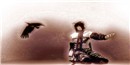 flyaway