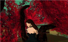 Snapshot03_004