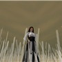 Snapshot_046