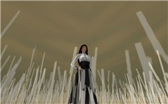 Snapshot_046