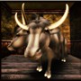 Moooo