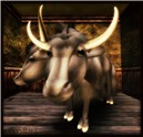 Moooo