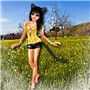 spring kitty