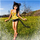spring kitty