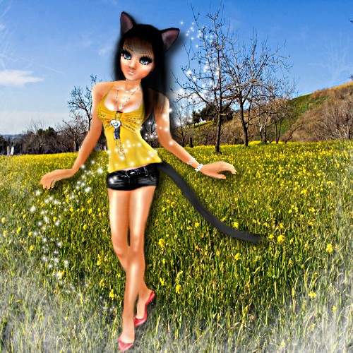 spring kitty