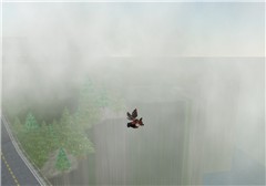 Look! Up in the sky!