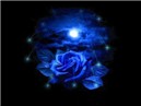 Beautiful BLUE!