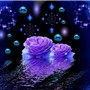 Beautiful Flowers