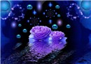 Beautiful Flowers