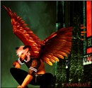 Red Caste Guardian
