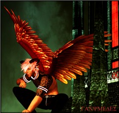 Red Caste Guardian