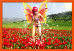 Feel the spring