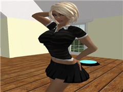 Cybrary City - Simone Schama