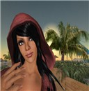 hood3