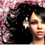 Cherry Trees