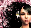 Cherry Trees