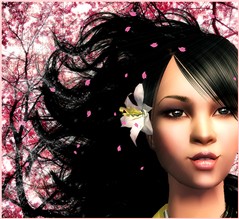 Cherry Trees