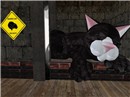 Big Kitteh